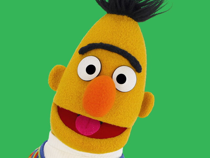 Bert