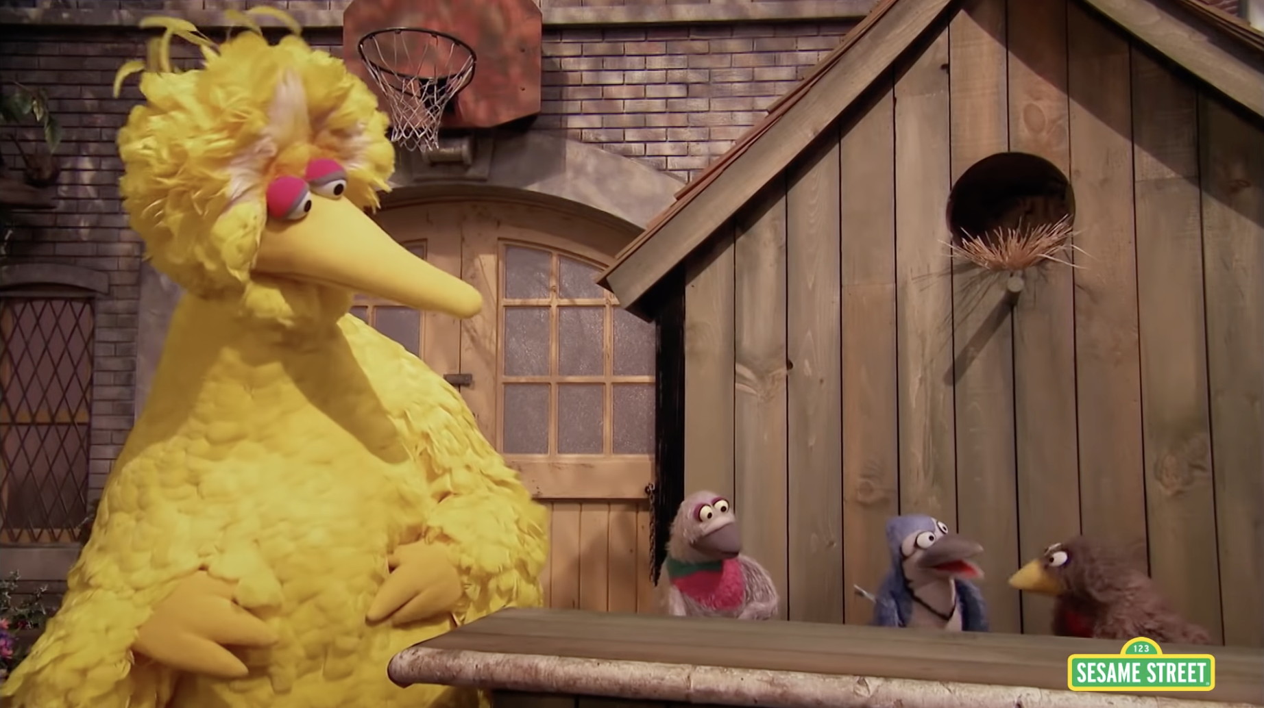 Good Bird club thumbnail